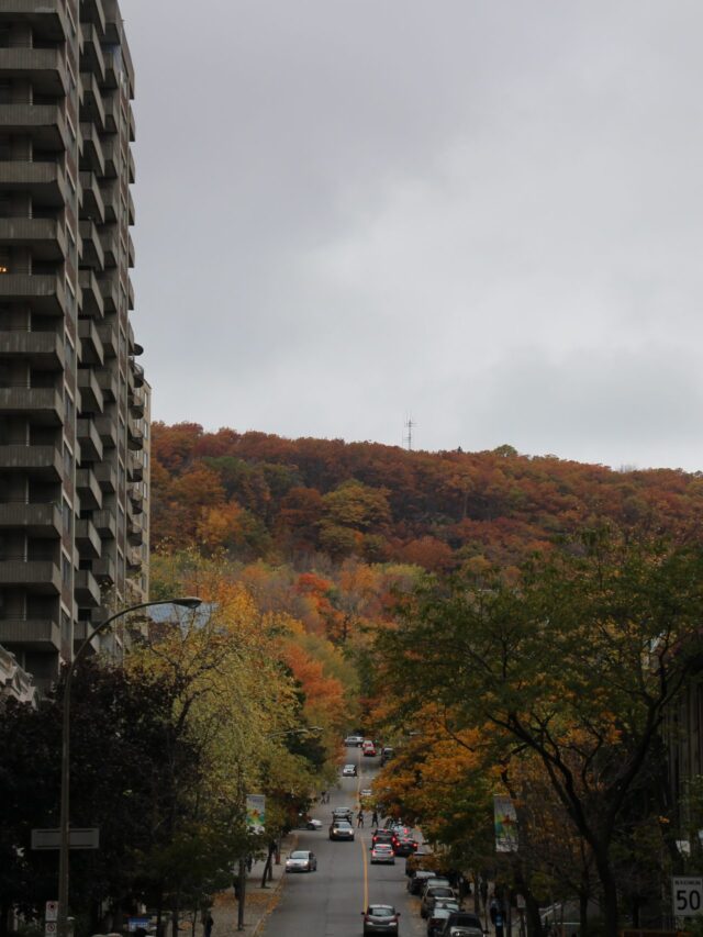 cropped-IMG_0054-scaled-1.jpg