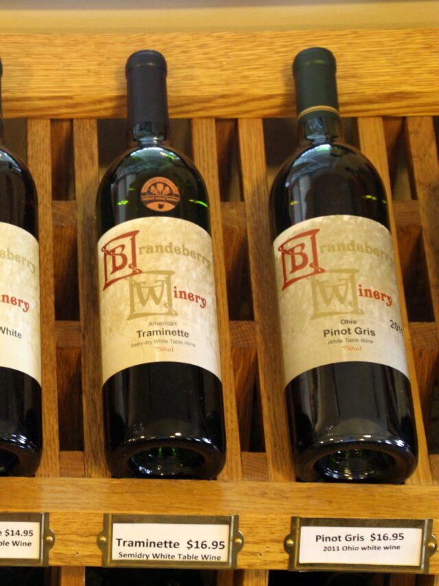 Brandeberry Winery Story