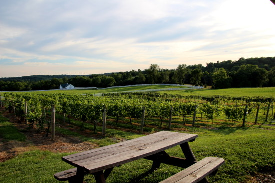 Rockside Winery and Vineyards - www.ohiogirltravels.com