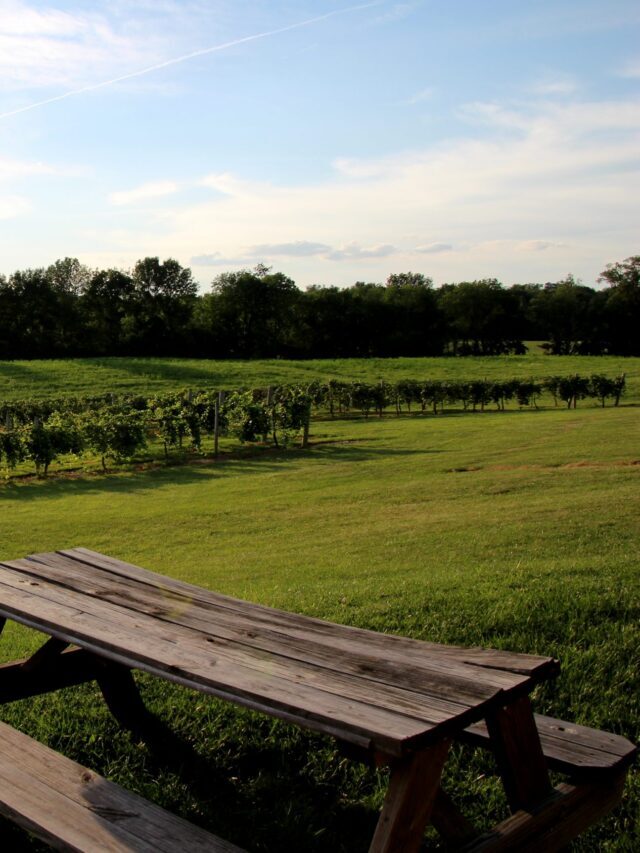 Rockside Winery & Vineyards Story
