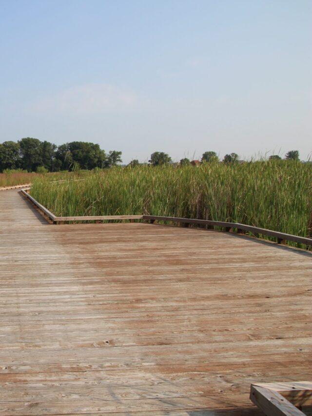 Glacier Ridge Metro Park Story