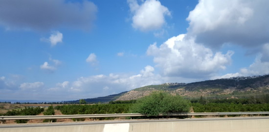 Galilee, Israel~www.ohiogirltravels.com