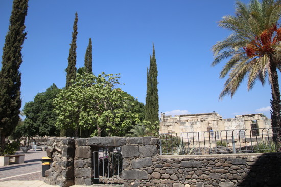 Capernaum, Israel~www.ohiogirltravels.com