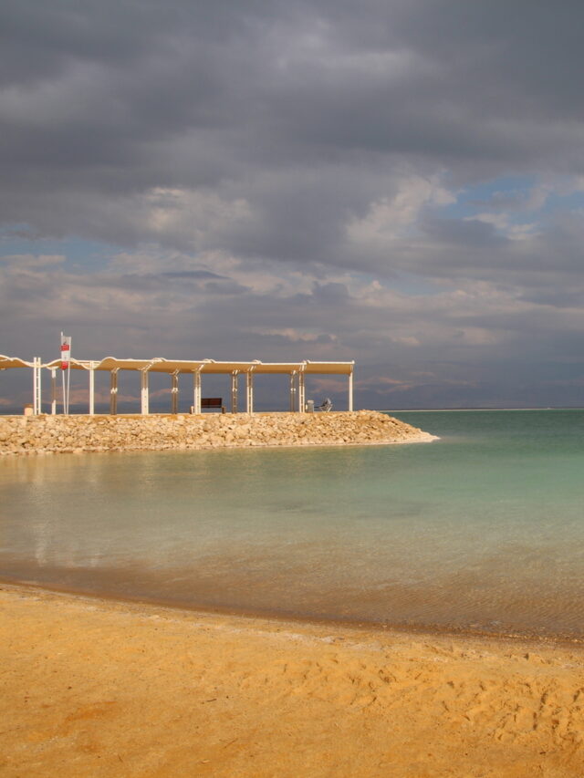 cropped-IMG_0708.jpg