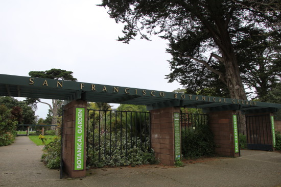 San Francisco Botanical Garden ~ www.ohiogirltravels.com