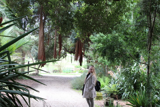 San Francisco Botanical Garden 
