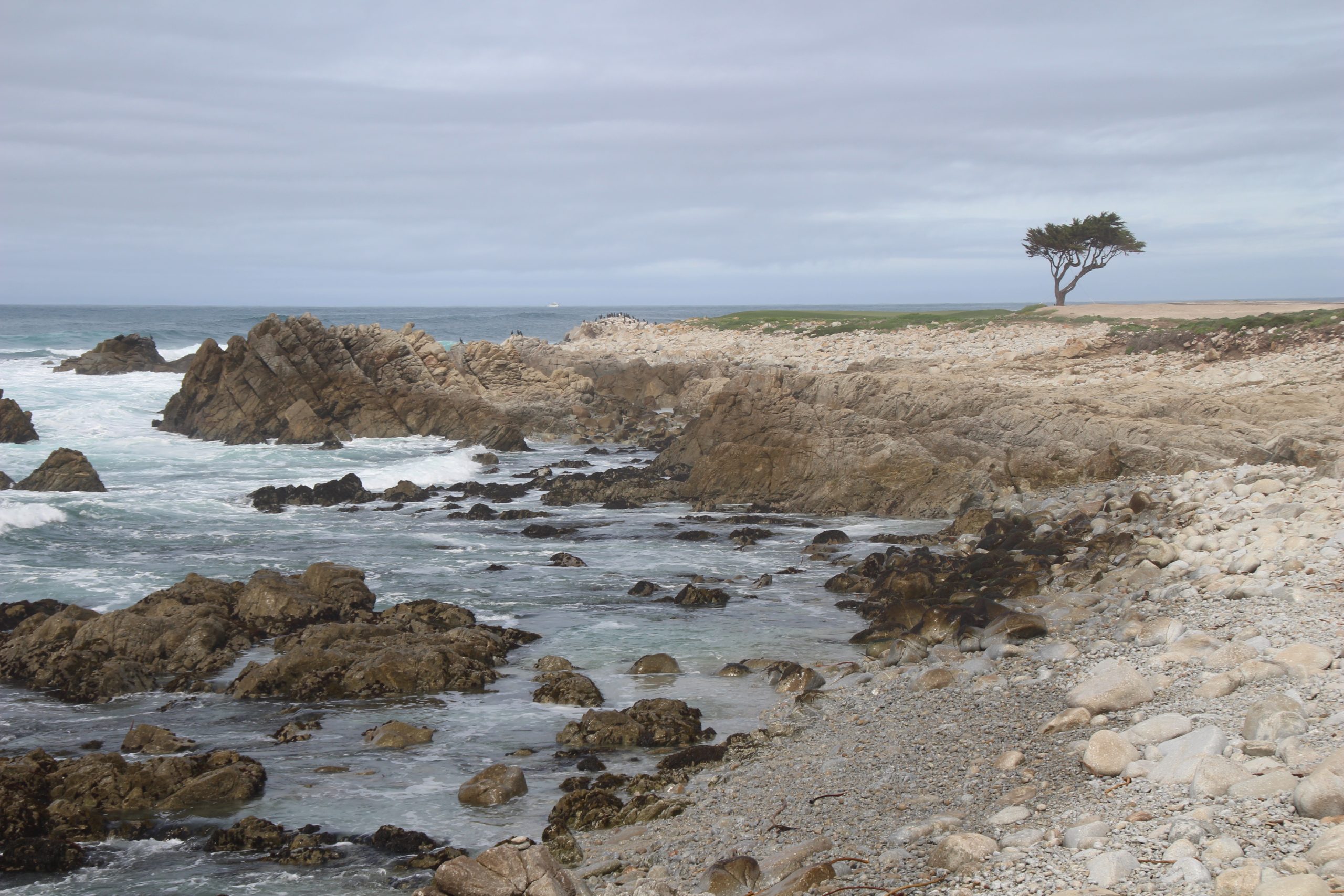 The Stunning 17-Mile Drive at Pebble Beach