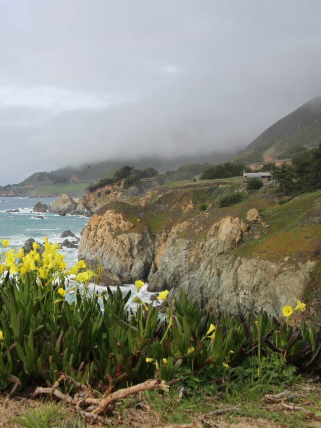7 Reasons to Visit Monterey County, California Story