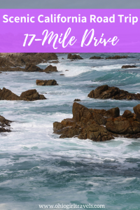 Your trip to Monterey, California wouldn’t be complete without doing the 17-Mile drive. The scenic coastline views and vistas to see wildlife were incredible. This is one road trip you WILL NOT want to miss when you’re in California. Save this scenic road trip to your travel board! #17miledrive #california #monterey