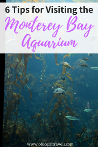 The Monterey Bay Aquarium in California isn’t your average aquarium. This aquarium sits on the ocean offering ways to see wildlife in the aquarium and in the ocean itself. Here are 6 tips for making the most of your experience at the Monterey Bay Aquarium, California. #montereybay #aquarium #california #montereybayaquarium