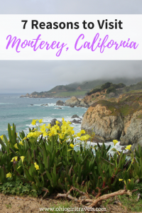Monterey, California is incredibly breathtaking filled with amazing food, drinks, scenery and much more. We could name hundreds of reasons to visit Monterey, California, but these are our top 7. Don’t forget to save this pin to your travel board! #monterey #california