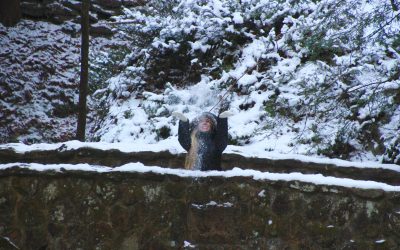 Things to do in Hocking Hills