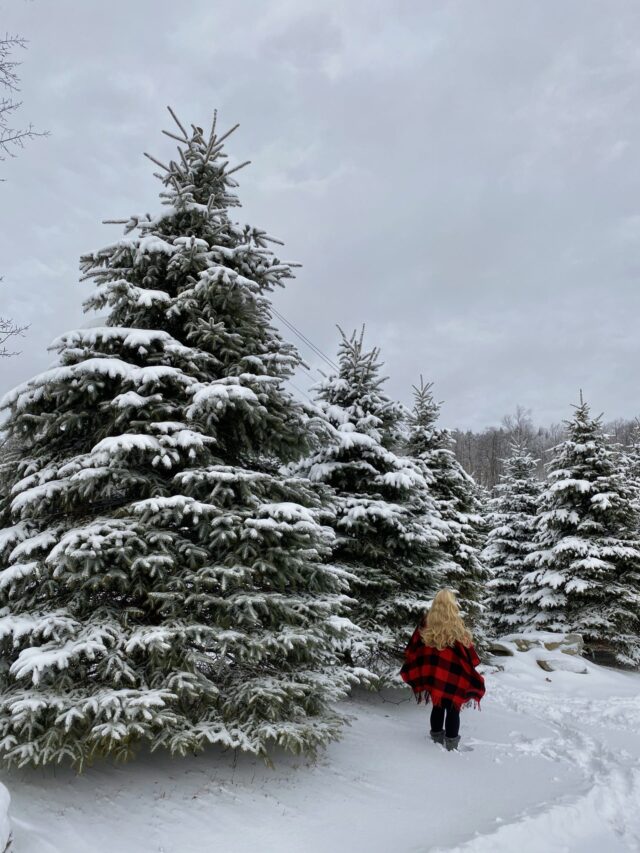 AMAZING THINGS TO DO IN LAUREL HIGHLANDS, PENNSYLVANIA IN WINTER STORY