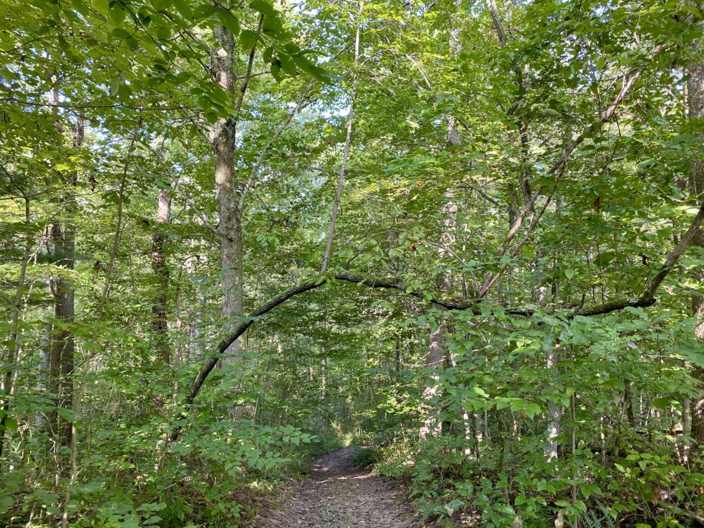Hiking Trails at Cherry Ridge Retreat