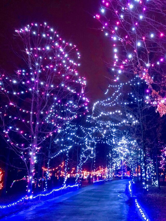 Enchanting Drive Through Christmas Lights In Ohio Story