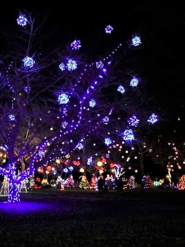 Best Christmas Lights Displays in Ohio Story