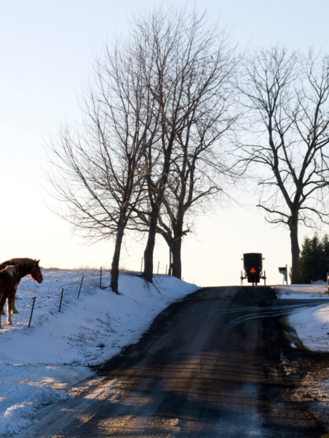 Things To Do In Amish Country Ohio In The Winter Story