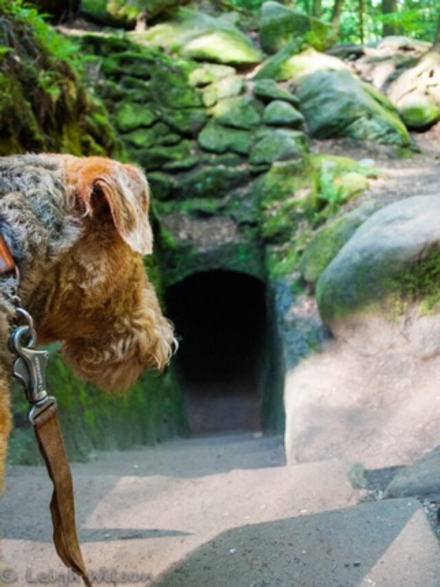Hocking Hills Pet Friendly Trails Story