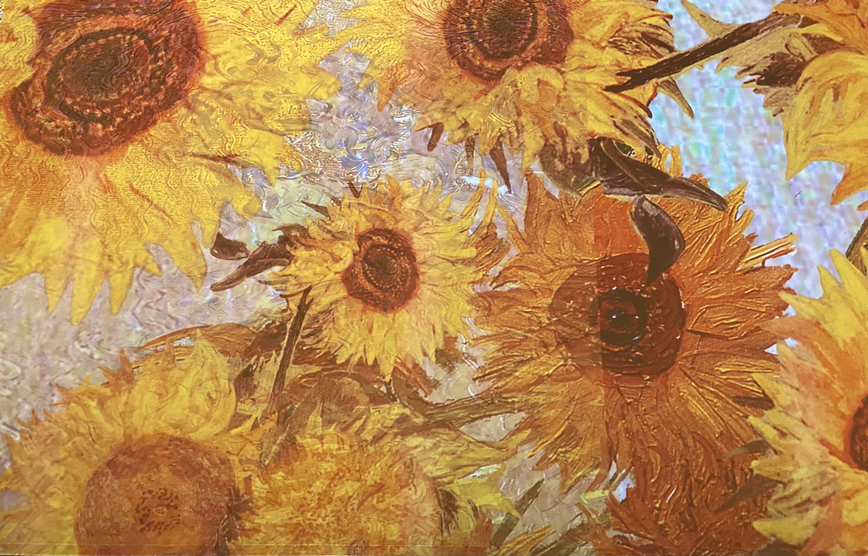 Immersive Van Gogh Exhibit In Columbus, Ohio