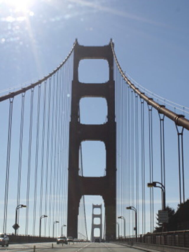 cropped-IMG_6099-550x367-2.jpg