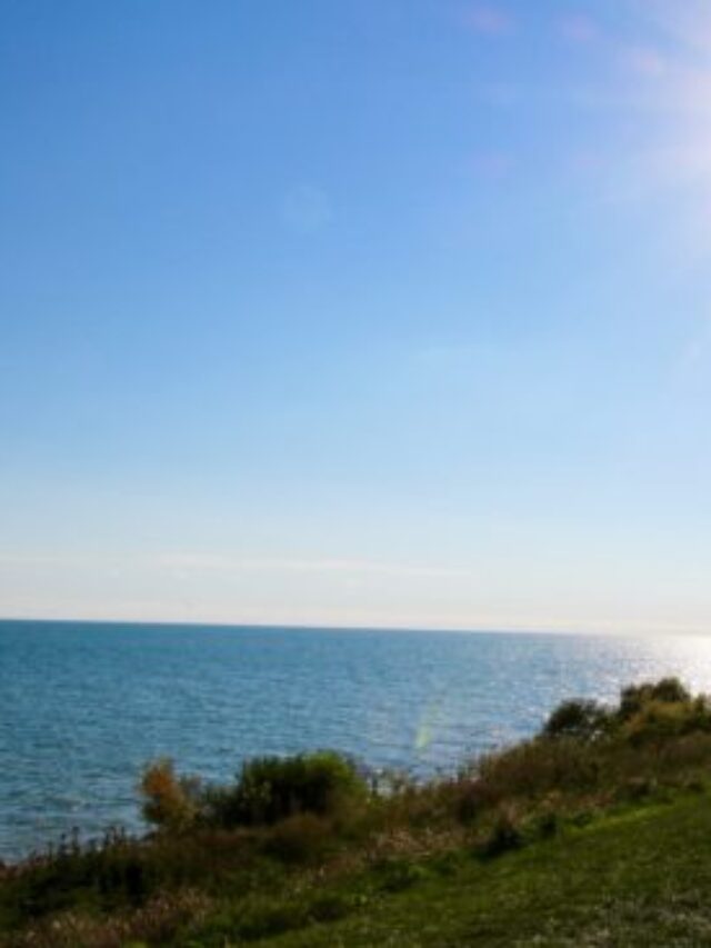 cropped-IMG_8738-1-550x367-1.jpg