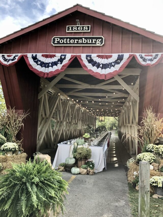cropped-Pottersburg-Bridge-980x1307-1.jpg