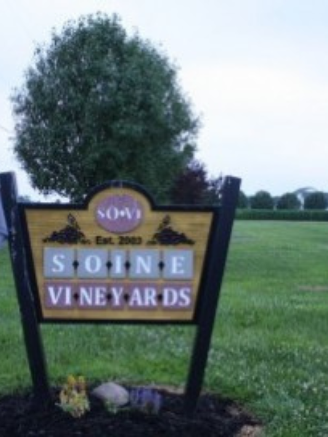 Soine Vineyards Story