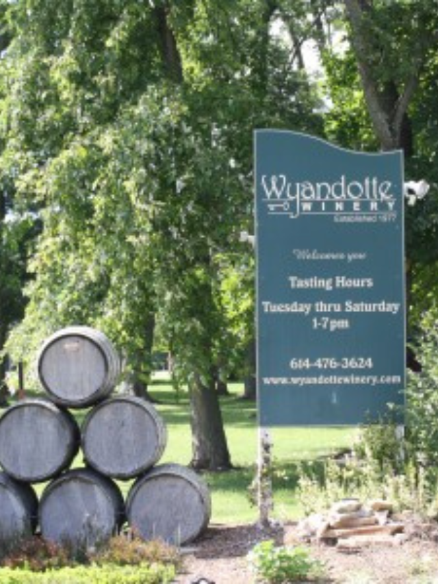 Wyandotte Winery Story