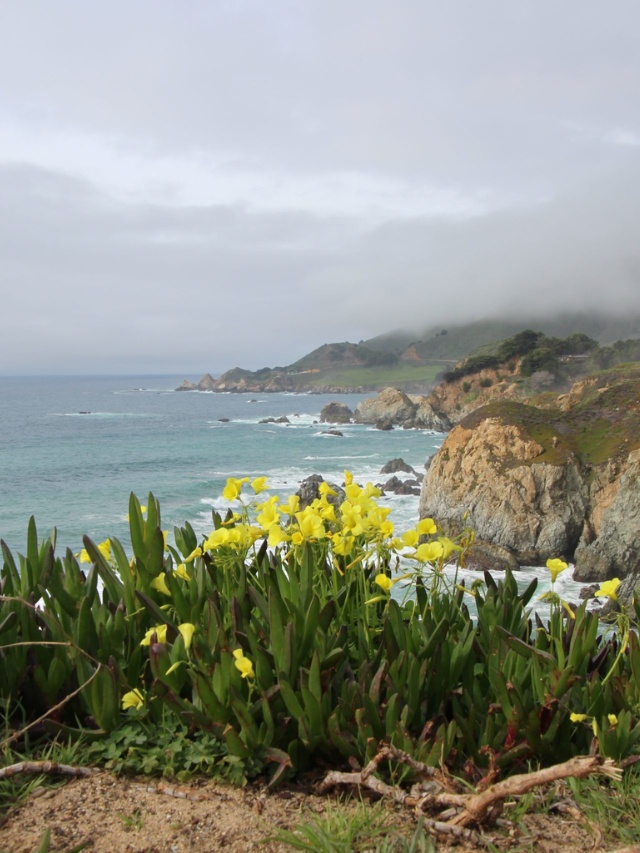 Seven Reasons to Take a Trip to Monterey County, California Story