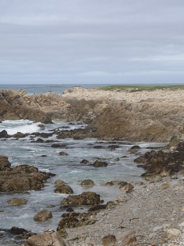 The Stunning 17-Mile Drive at Pebble Beach Story
