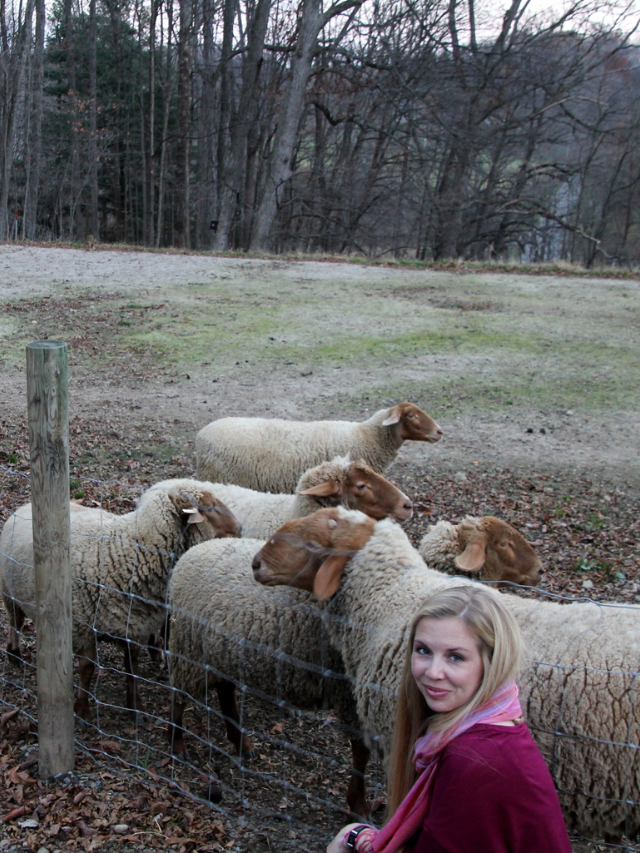 Top 10 Things To Do At The Inn At Honey Run! Story