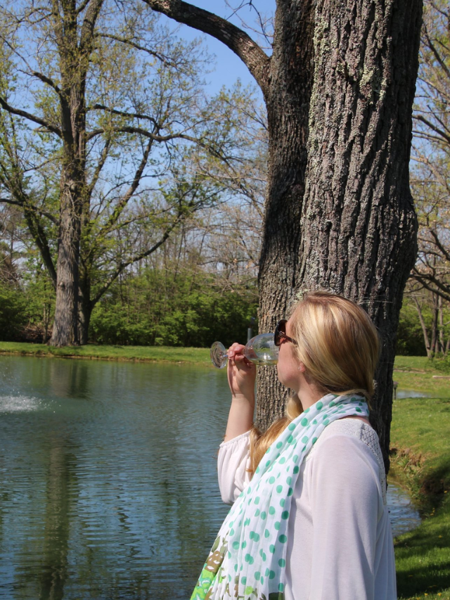 Hanover Winery Story