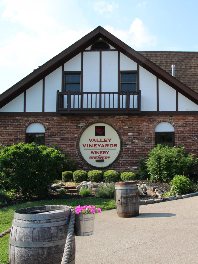 Valley Vineyards Story
