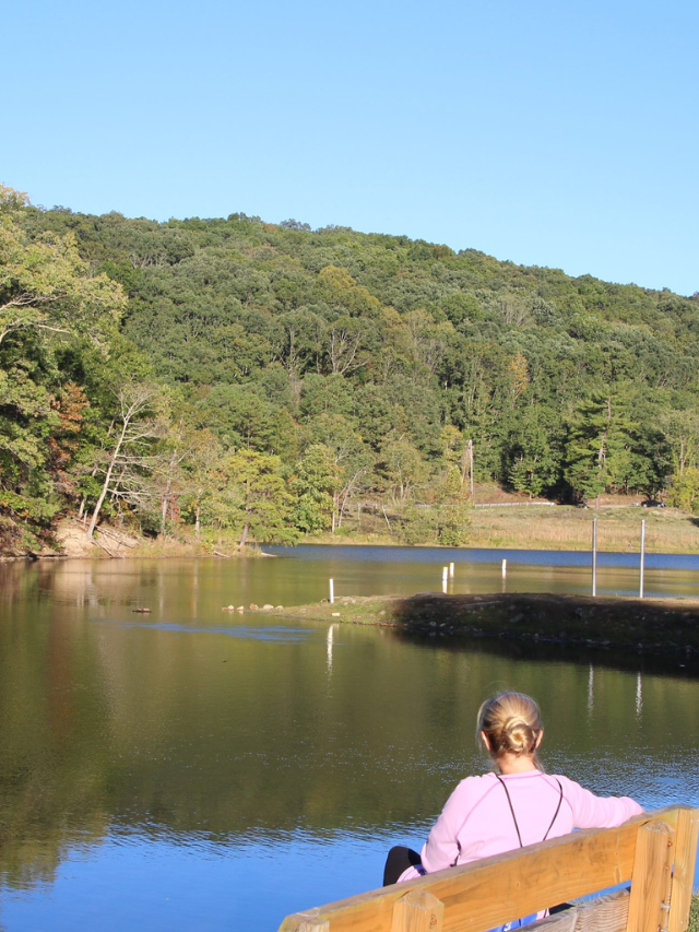 Exploring Shawnee State Park and Shawnee Lodge Story