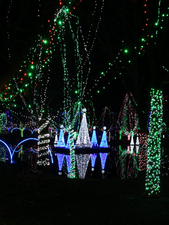 Columbus Zoo Wildlights Story