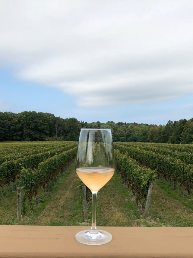 Discovering Ohio Wine Country in Ashtabula County Story