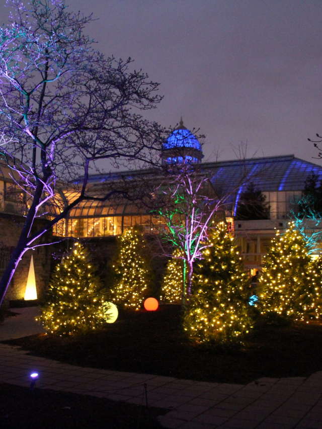 Best Christmas Lights Displays In Ohio {2022} Story