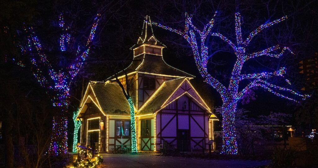 Wild Winter Lights at Cleveland Metroparks Zoo