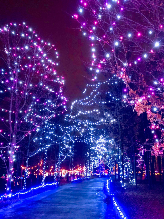 Enchanting Drive Through Christmas Lights In Ohio {2022} Story