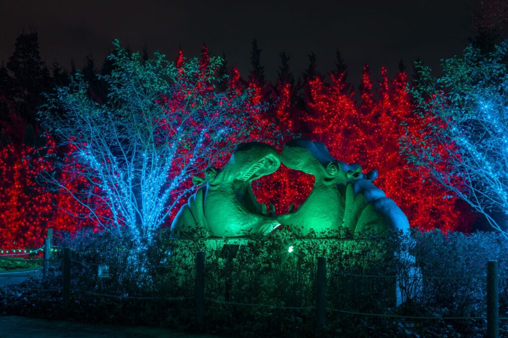 Lights Before Christmas at the Toledo Zoo