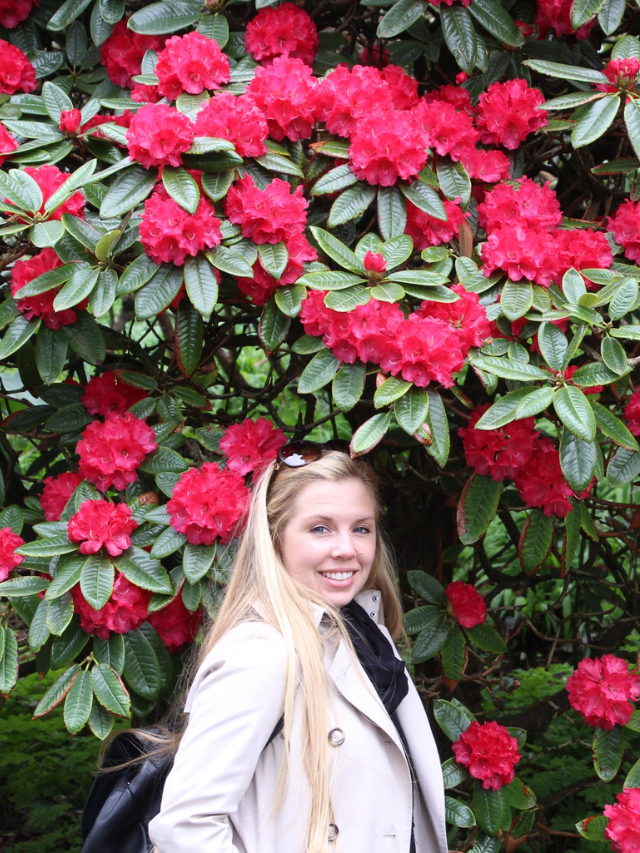 Botanical Garden Of San Francisco Story