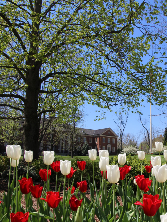 Reasons to Visit Butler County, Ohio Story