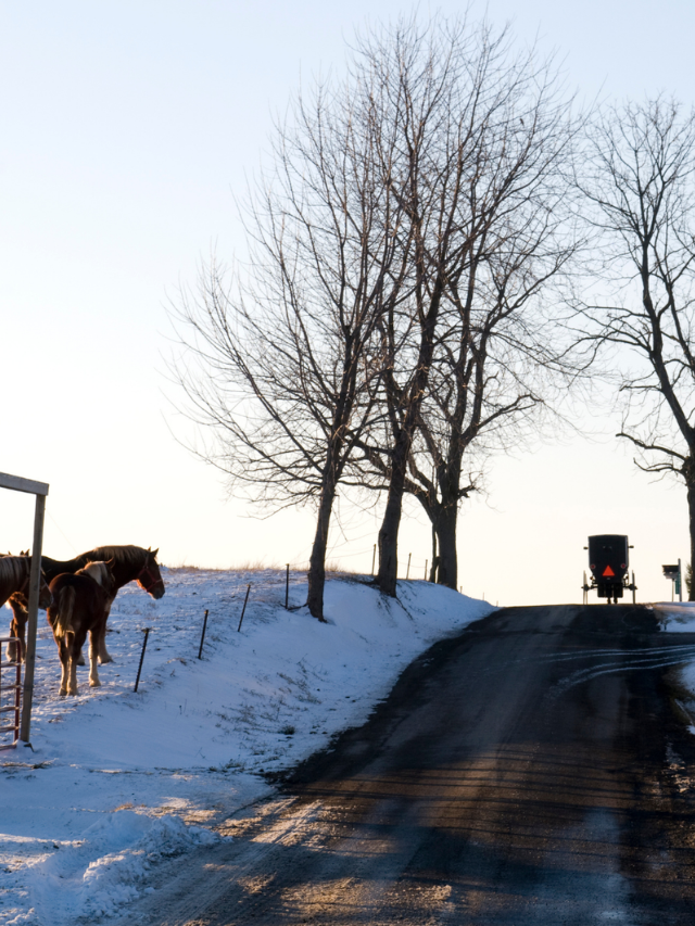 AMISH COUNTRY OHIO WINTER ACTIVITIES STORY