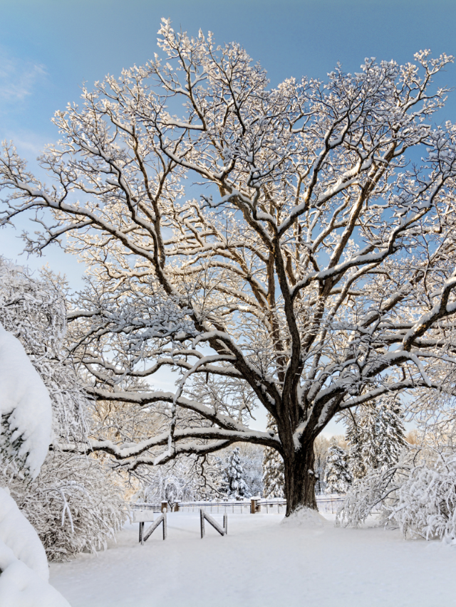 FUN THINGS TO DO IN OHIO IN THE WINTER STORY