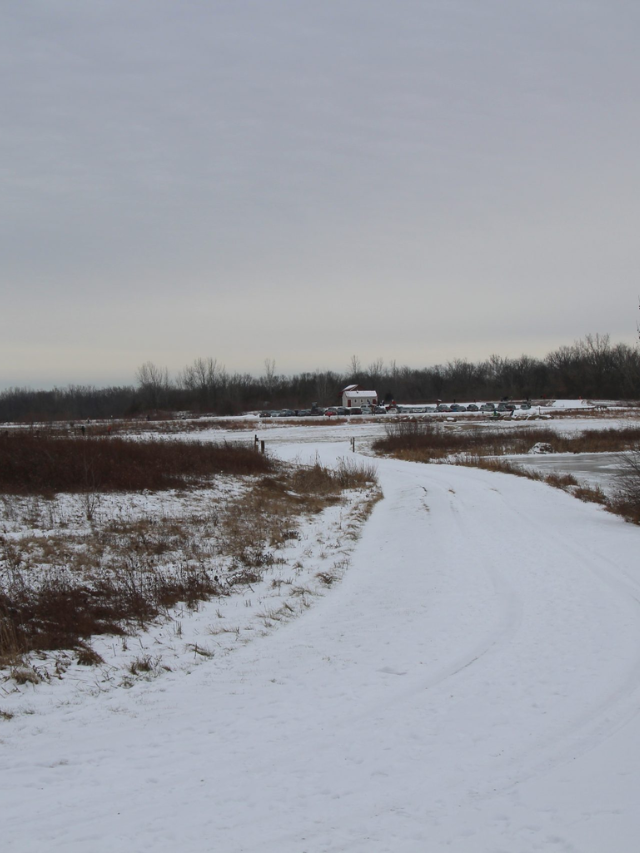 PRAIRIE OAKS METRO PARK WINTER HIKE STORY
