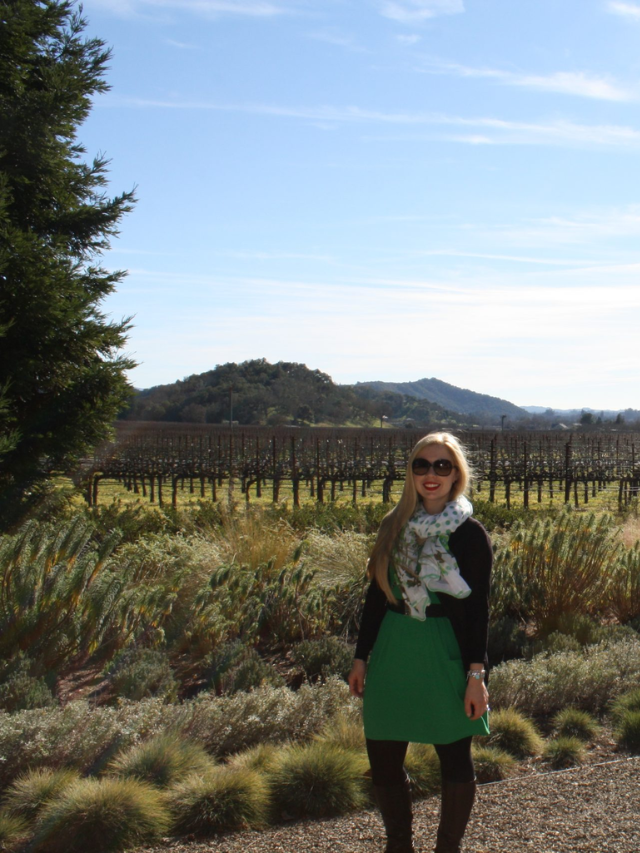 DELICIOUS WINE TASTING IN NAPA VALLEY STORY