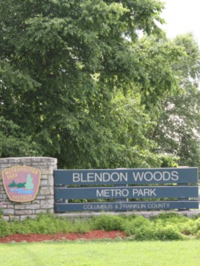 THE BEAUTIFUL NATURE OF BLENDON WOODS METRO PARK STORY