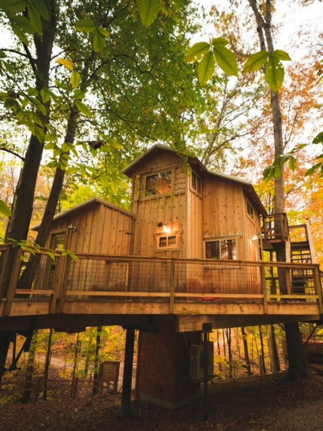 RELAXING PET-FRIENDLY CABINS IN HOCKING HILLS OHIO STORY