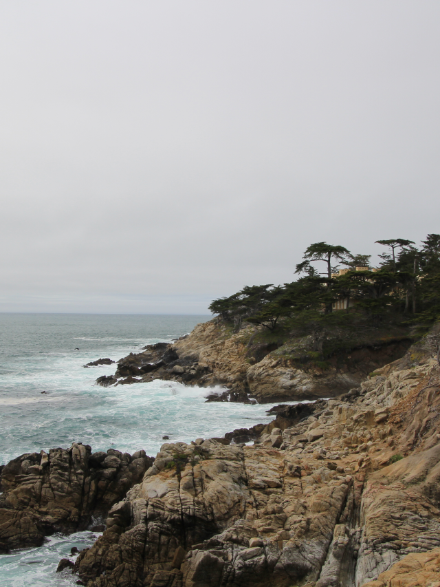 THE BEAUTIFUL 17-MILE DRIVE TO PEBBLE BEACH STORY