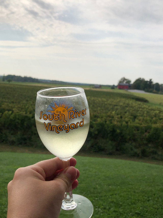 DISCOVERING THE VINEYARDS OF ASHTABULA COUNTY, OHIO STORY